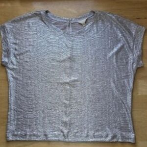 Adiva Shimmering Silver Short Sleeve Top
